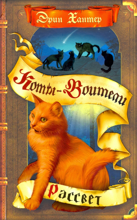 Эрин хантер коты воители. Эрин хантер циклы. Эрин хантер коты воители список книг. Эрин хантер циклы. Коты воители книга приключения ольхолапа.