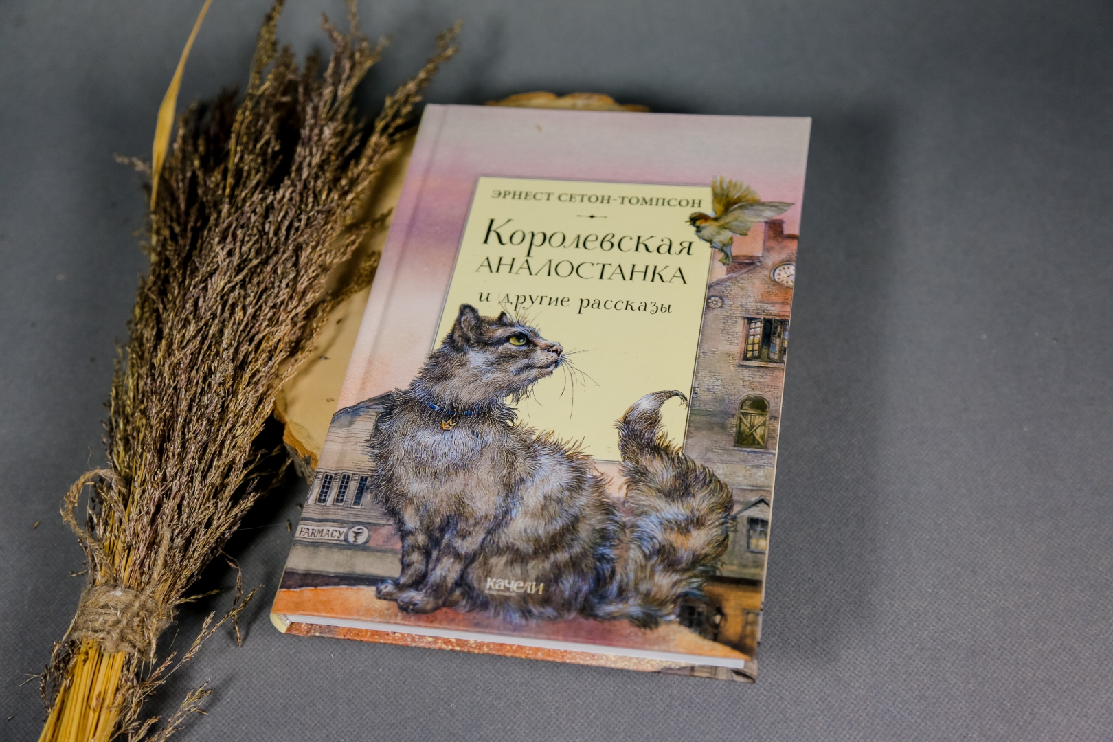 Королевская аналостанка. Королевская аналостанка урок 5 класс. Иллюстрации сетона томпсона к рассказу королевская аналостанка. Королевская аналостанка урок 5 класс. Сетон томпсон иллюстрации автора.