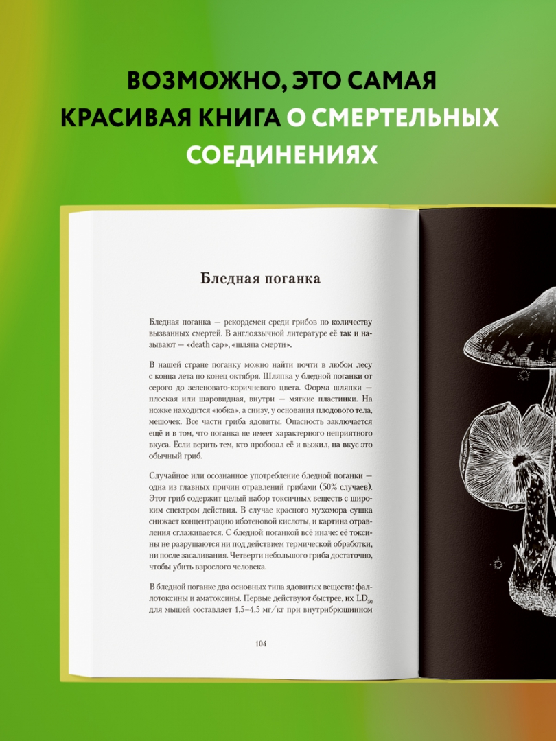 Яды вокруг и внутри путеводитель по самым опасным веществом. Яды вокруг и внутри нас. Яды вокруг и внутри путеводитель по самым опасным веществом. Яды вокруг и внутри сакина зейналова. Сакина зейналова яды.