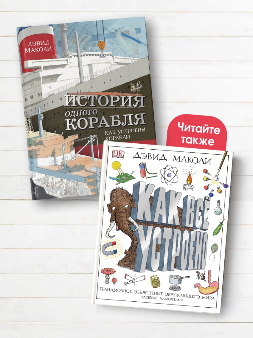 Как все устроено дэвид маколи. История одного корабля дэвид маколи. пчини теплиëни маколи.