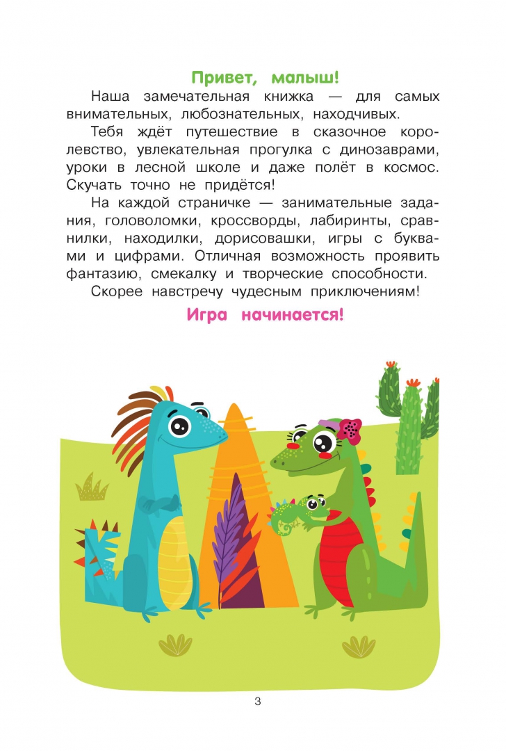 Головоломки для любознательных на дзен тепляковы