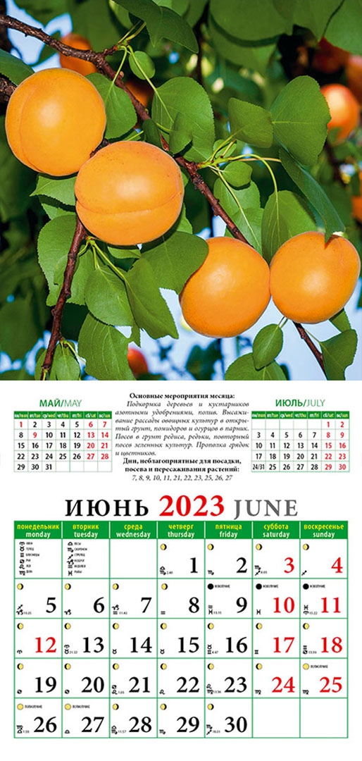 Южный урал лунный календарь 2024 сентябрь. Южный урал лунный календарь 2024 сентябрь. Посевной календарь для восточной сибири. Лунный календарь для садоводов и огородников на 2023 год. Таблица садовода и огородника посевной.