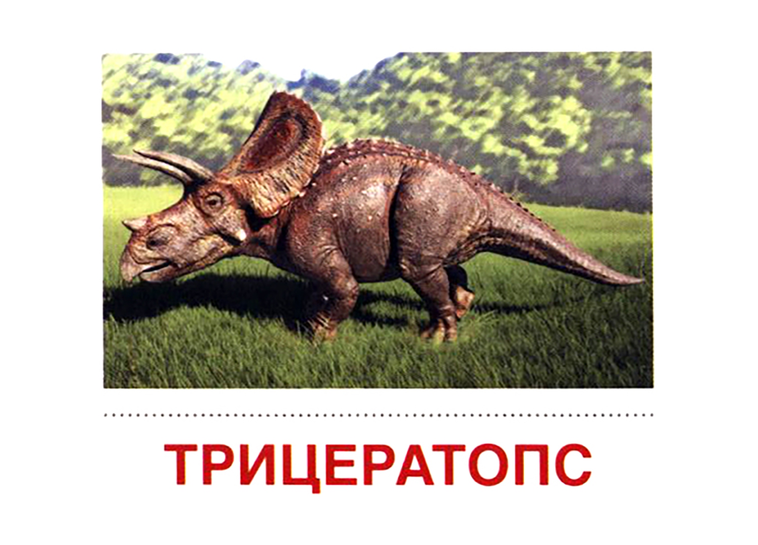 Название динозавров с картинками