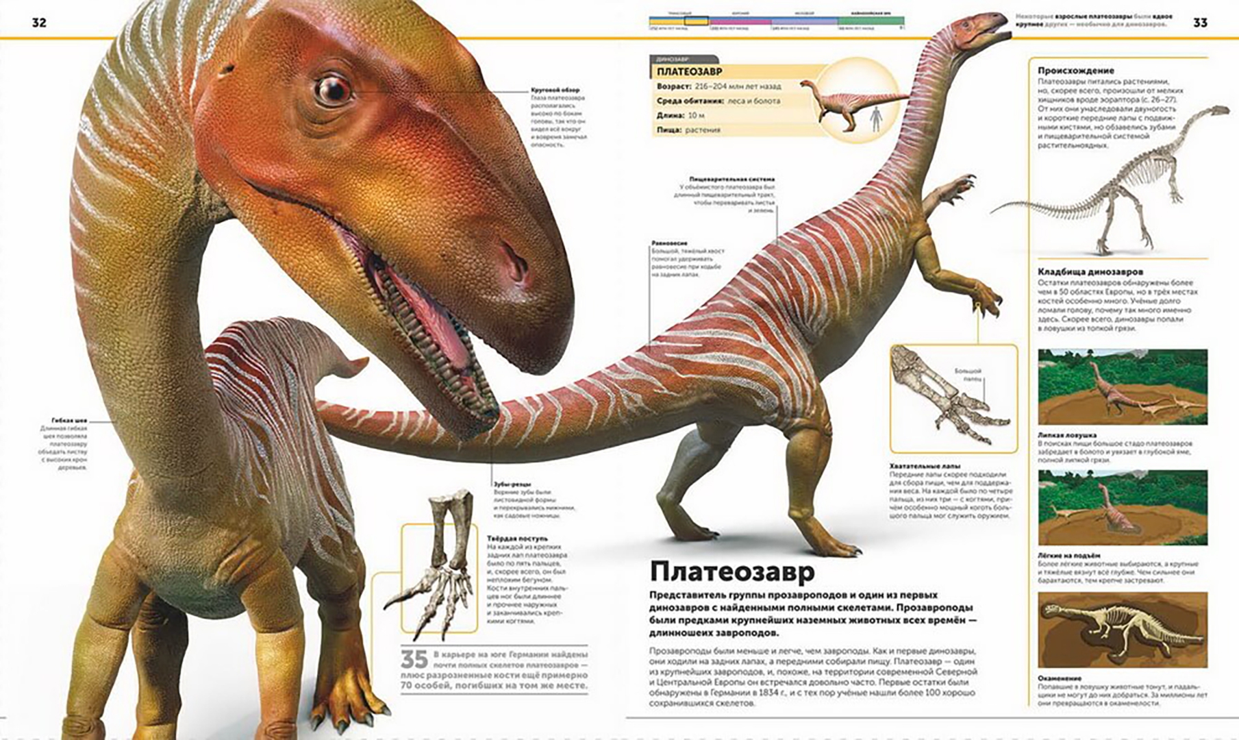 Самая полная современная энциклопедия (Knowledge Encyclopedia <b>Dinosaur</b>!). ...