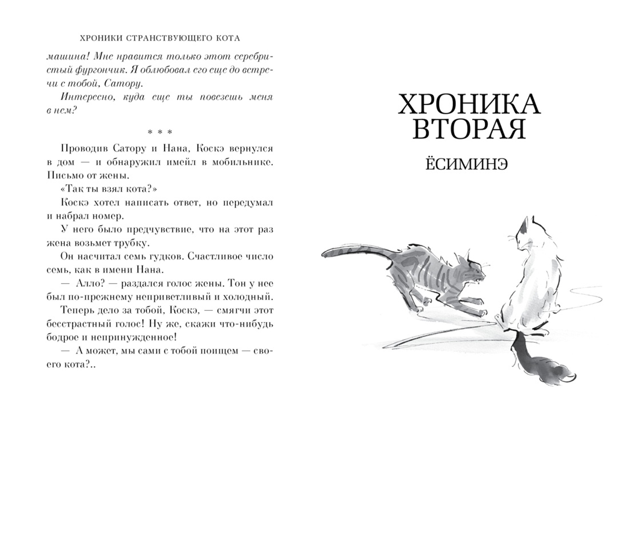 Хроники странствующего кота