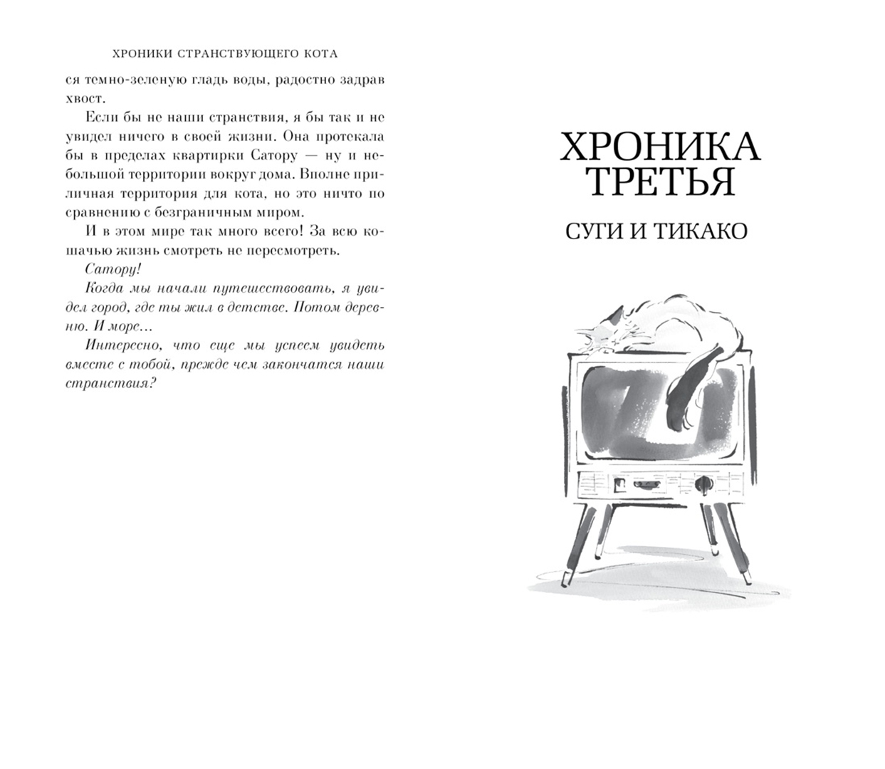 Хроники странствующего кота