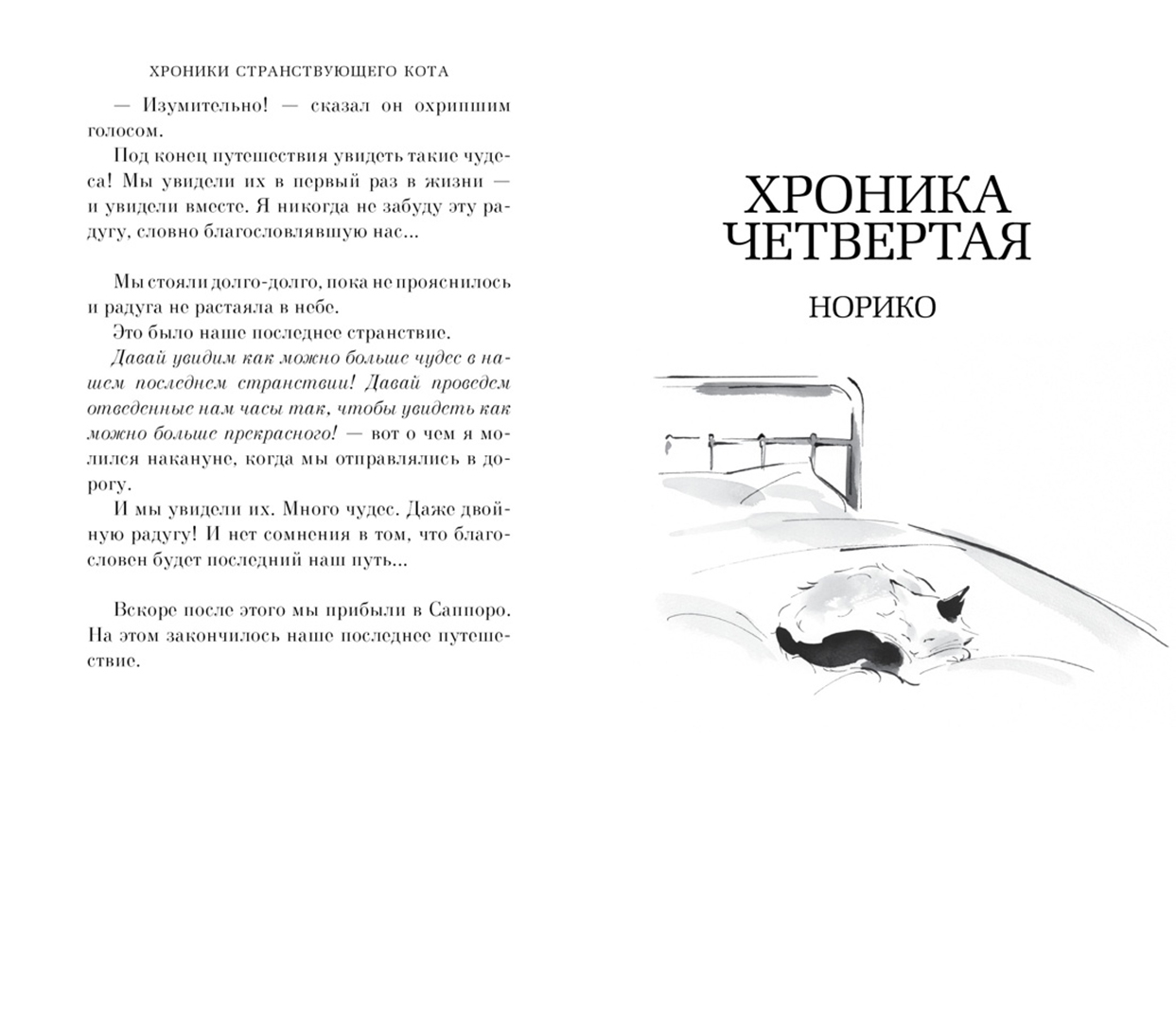 Хроники странствующего кота