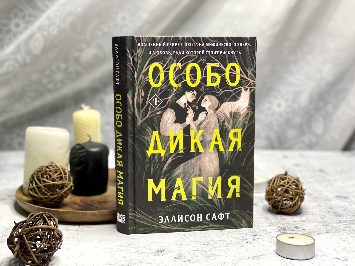 Книга: Особо дикая <b>магия</b> (A Far Wilder Magic). 📙 Автор: Эллисон Сафт. 