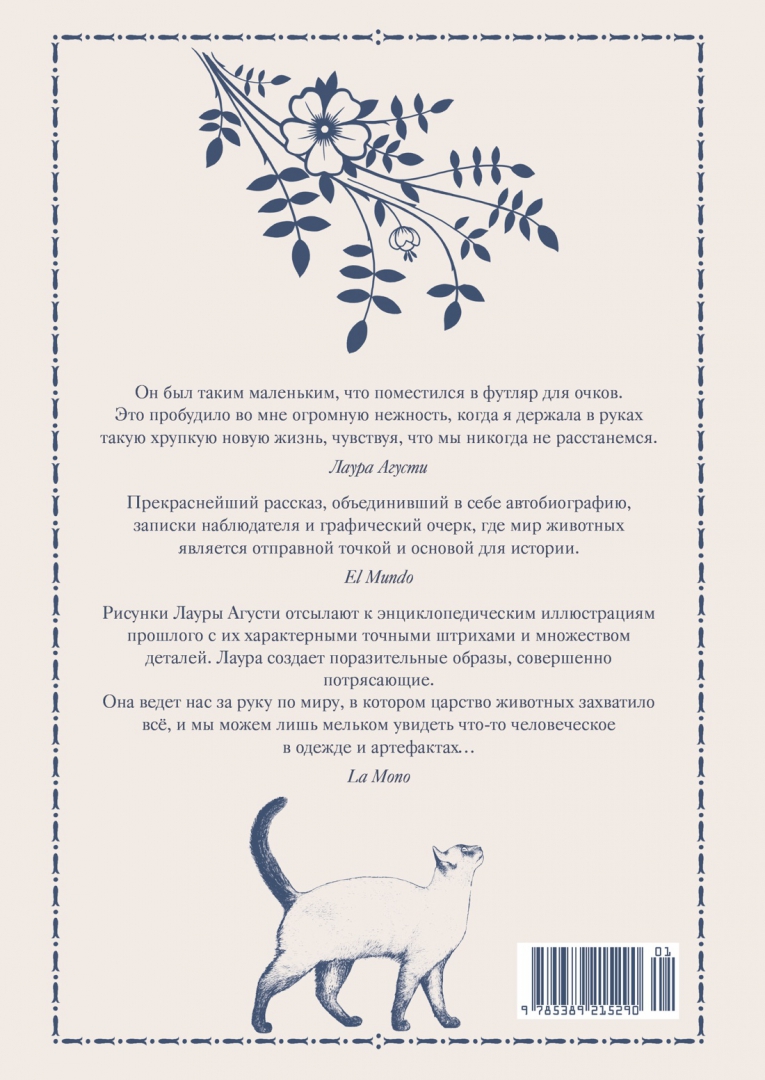 Курс история и котики