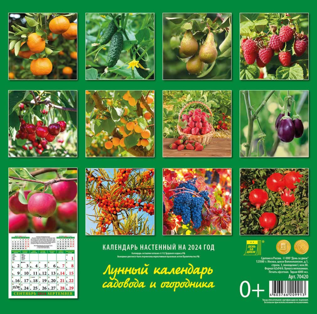 Календарь садовода на 2024 год "Лунный календарь садовода и огородника на 2024 год" купить ISBN 4603766209913 Л