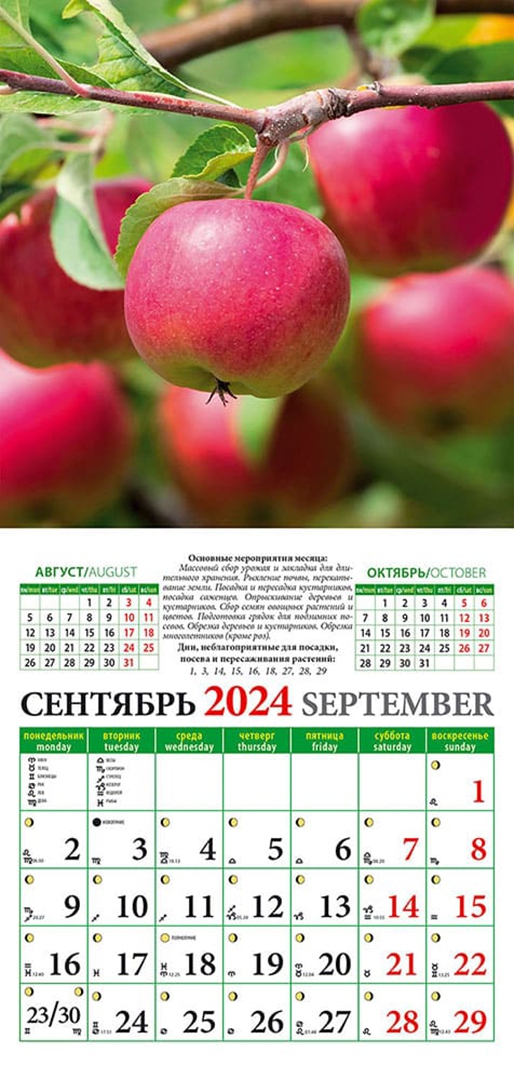 Календарь садовода на сентябрь 2024 года "Лунный календарь садовода и огородника на 2024 год" купить ISBN 4603766209685 Л