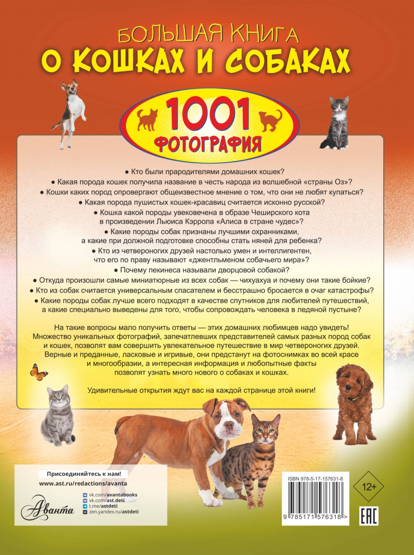 Информация о кошках и собаках. Информация о кошках и собаках